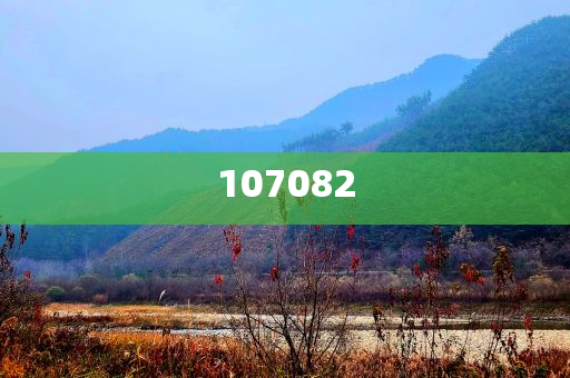 zhengliyun 第12页