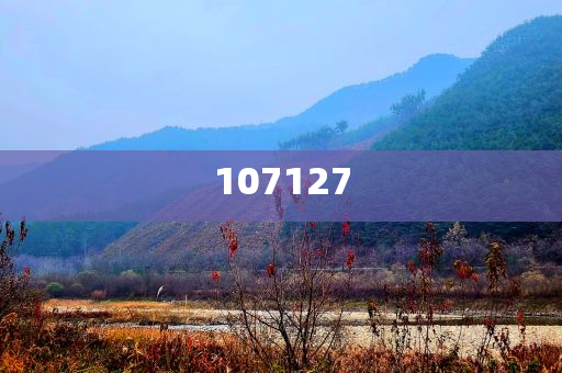 shishan 第13页