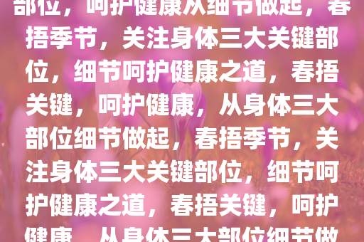 春捂季节，关注身体三大关键部位，呵护健康从细节做起，春捂季节，关注身体三大关键部位，细节呵护健康之道，春捂关键，呵护健康，从身体三大部位细节做起，春捂季节，关注身体三大关键部位，细节呵护健康之道，春捂关键，呵护健康，从身体三大部位细节做起