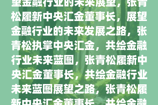 张青松履新中央汇金董事长，展望金融行业的未来展望，张青松履新中央汇金董事长，展望金融行业的未来发展之路，张青松执掌中央汇金，共绘金融行业未来蓝图，张青松履新中央汇金董事长，共绘金融行业未来蓝图展望之路，张青松履新中央汇金董事长，共绘金融行业未来蓝图