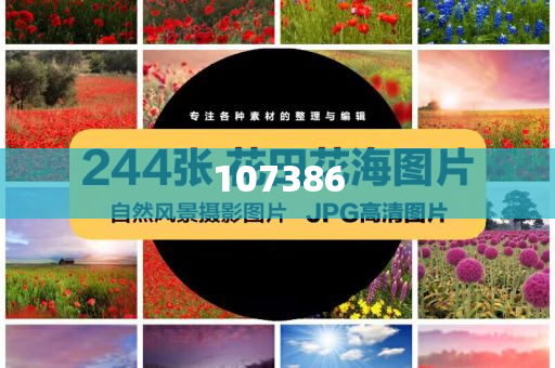 小岛瑠璃子家中突发变故，受轻伤却面临巨大人生考验，小岛瑠璃子家中变故，人生考验与挑战之际，小岛瑠璃子直面家变考验，勇敢挑战人生新篇章，小岛瑠璃子家中变故引发人生考验，直面挑战，勇敢前行，小岛瑠璃子勇敢直面家变考验，挑战人生新篇章