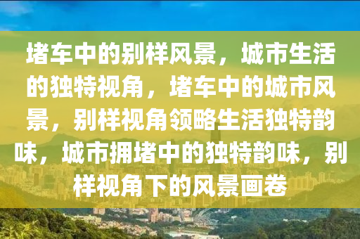 堵车中的别样风景，城市生活的独特视角，堵车中的城市风景，别样视角领略生活独特韵味，城市拥堵中的独特韵味，别样视角下的风景画卷