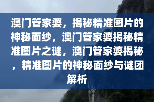 澳门管家婆，揭秘精准图片的神秘面纱，澳门管家婆揭秘精准图片之谜，澳门管家婆揭秘，精准图片的神秘面纱与谜团解析