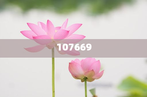 新澳2025精准正版免费资料，探索与期待，新澳2025精准正版免费资料，探索未来，期待成就