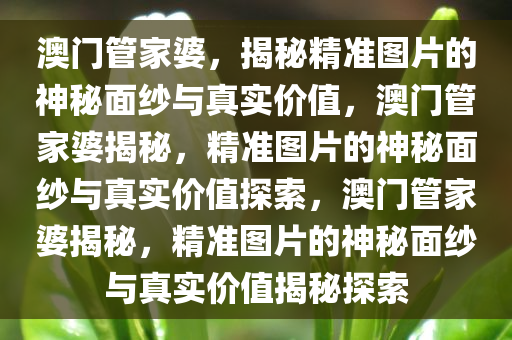 澳门管家婆，揭秘精准图片的神秘面纱与真实价值，澳门管家婆揭秘，精准图片的神秘面纱与真实价值探索，澳门管家婆揭秘，精准图片的神秘面纱与真实价值揭秘探索