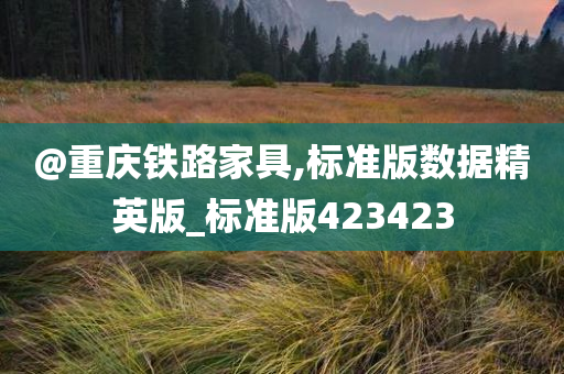 @重庆铁路家具,标准版数据精英版_标准版423423