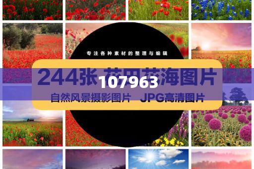 饺子导演的独特魅力，那件价值四百元的毛衣背后的故事，饺子导演的魔力与四百元毛衣背后的故事，饺子导演，四百元毛衣背后的导演魅力与魔力，饺子导演，四百元毛衣背后的魔力与故事揭秘，饺子导演，四百元毛衣背后的魅力与魔力揭秘