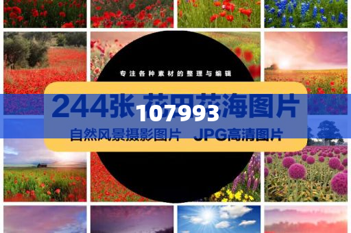 丹麦军方巨资购买75万双毛袜应对威胁，揭示背后的战略考量与军事准备重要性，丹麦军方巨资采购毛袜应对威胁，战略考量与军事准备的重要性揭秘，丹麦军方战略奇招，巨资购75万双毛袜，揭秘军事准备背后的深层考量
