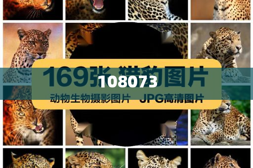 以总理访美车队遭鸡蛋袭击为重点语录的文章，总理访美车队遭袭背后的故事，一场鸡蛋引发的国际热议，鸡蛋风波，总理访美车队遭袭背后的国际热议