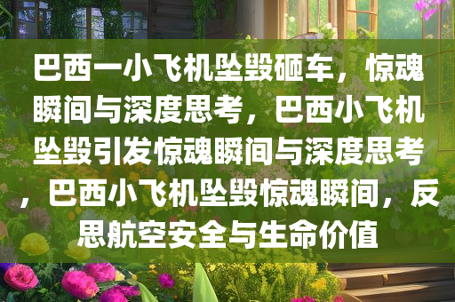 巴西一小飞机坠毁砸车，惊魂瞬间与深度思考，巴西小飞机坠毁引发惊魂瞬间与深度思考，巴西小飞机坠毁惊魂瞬间，反思航空安全与生命价值