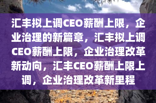 汇丰拟上调CEO薪酬上限，企业治理的新篇章，汇丰拟上调CEO薪酬上限，企业治理改革新动向，汇丰CEO薪酬上限上调，企业治理改革新里程