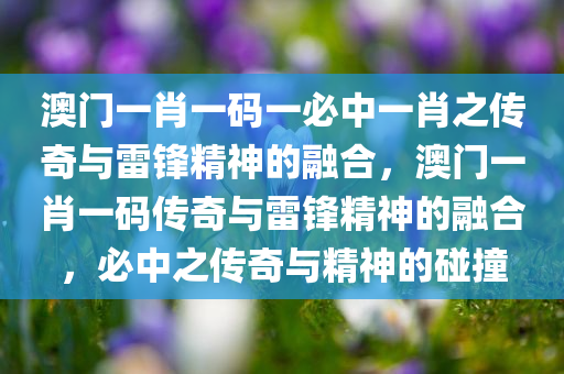 澳门一肖一码一必中一肖之传奇与雷锋精神的融合，澳门一肖一码传奇与雷锋精神的融合，必中之传奇与精神的碰撞