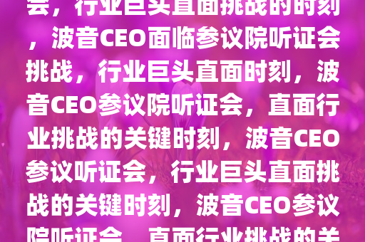 波音CEO即将亮相参议院听证会，行业巨头直面挑战的时刻，波音CEO面临参议院听证会挑战，行业巨头直面时刻，波音CEO参议院听证会，直面行业挑战的关键时刻，波音CEO参议听证会，行业巨头直面挑战的关键时刻，波音CEO参议院听证会，直面行业挑战的关键时刻