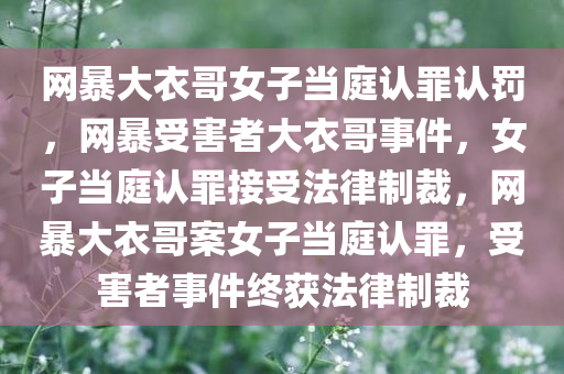 网暴大衣哥女子当庭认罪认罚，网暴受害者大衣哥事件，女子当庭认罪接受法律制裁，网暴大衣哥案女子当庭认罪，受害者事件终获法律制裁