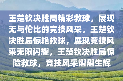 王楚钦决胜局精彩救球，展现无与伦比的竞技风采，王楚钦决胜局惊艳救球，展现竞技风采无限闪耀，王楚钦决胜局惊险救球，竞技风采熠熠生辉