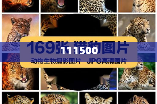 阿雅直播怀念大S，时光里的真挚情感与无尽回忆，阿雅直播怀念大S，时光见证的真挚情感与回忆，阿雅直播缅怀大S，岁月见证的真挚情谊与难忘回忆
