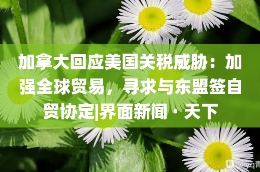 @古家实验什么,详定复义解总_排忧解难版DFS4