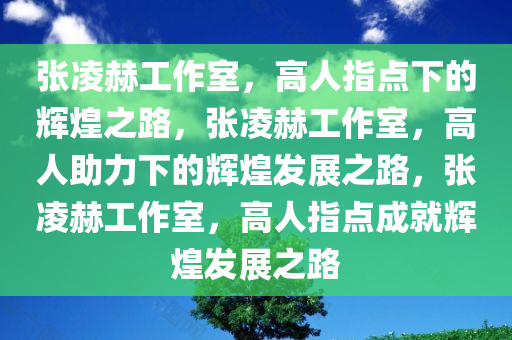 张凌赫工作室，高人指点下的辉煌之路，张凌赫工作室，高人助力下的辉煌发展之路，张凌赫工作室，高人指点成就辉煌发展之路