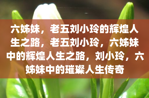 六姊妹，老五刘小玲的辉煌人生之路，老五刘小玲，六姊妹中的辉煌人生之路，刘小玲，六姊妹中的璀璨人生传奇