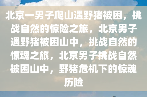 北京一男子爬山遇野猪被困，挑战自然的惊险之旅，北京男子遇野猪被困山中，挑战自然的惊魂之旅，北京男子挑战自然被困山中，野猪危机下的惊魂历险