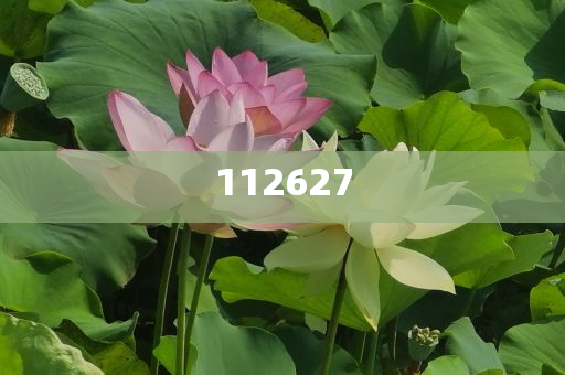 模仿哪吒2中十二大人物声音的经典语录，哪吒2十二大人物声音经典语录回顾，魔童降世，震撼心灵！，哪吒2，十二大人物声音经典语录集锦，重温魔童降世感动瞬间