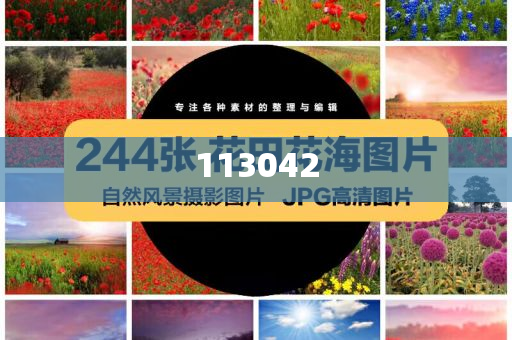 新澳门精准预测，探索未来的神秘面纱下的王中王之路（2024展望），澳门未来展望，精准预测下的王中王之路（2024年展望）