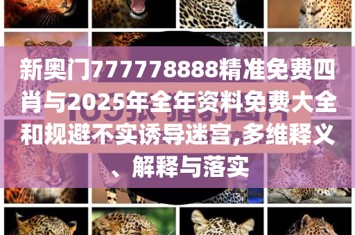 @上海科技用什,深度解读与解析_DFG版?GH489