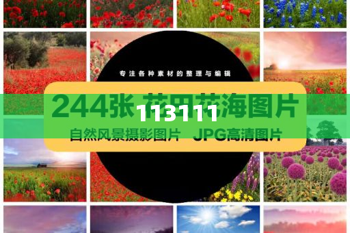 澳门一肖一码一一特一中厂i.二四六澳门免费全全大全——探索与想象，澳门一肖一码免费大全，探索与想象的奇幻之旅，澳门一肖一码奇幻之旅，探索与想象的免费大全