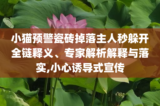@21实验园,效版落究析领_挑战版?GH489