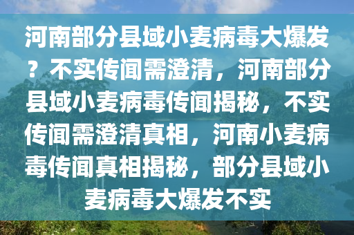 河南部分县域小麦病毒大爆发？不实传闻需澄清，河南部分县域小麦病毒传闻揭秘，不实传闻需澄清真相，河南小麦病毒传闻真相揭秘，部分县域小麦病毒大爆发不实