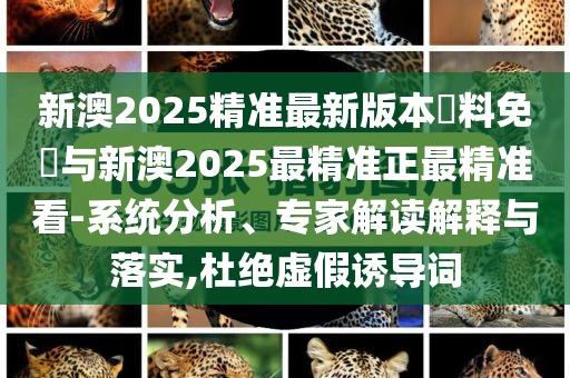 加盟驾驶儿课,正版领域深度_SAW版?HHG77