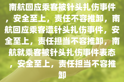 南航回应乘客被针头扎伤事件，安全至上，责任不容推卸，南航回应乘客遭针头扎伤事件，安全至上，责任担当不容推卸，南航就乘客被针头扎伤事件表态，安全至上，责任担当不容推卸