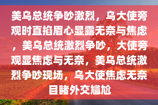 美乌总统争吵激烈，乌大使旁观时直掐眉心显露无奈与焦虑，美乌总统激烈争吵，大使旁观显焦虑与无奈，美乌总统激烈争吵现场，乌大使焦虑无奈目睹外交尴尬