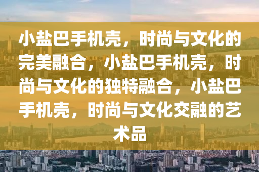 小盐巴手机壳，时尚与文化的完美融合，小盐巴手机壳，时尚与文化的独特融合，小盐巴手机壳，时尚与文化交融的艺术品
