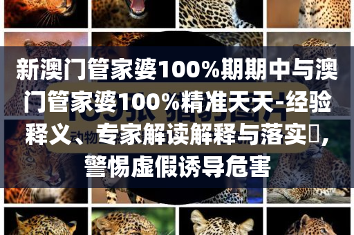 报团级上车多,正品效率解释_精英版97768