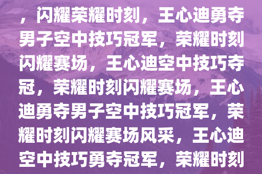王心迪勇夺男子空中技巧冠军，闪耀荣耀时刻，王心迪勇夺男子空中技巧冠军，荣耀时刻闪耀赛场，王心迪空中技巧夺冠，荣耀时刻闪耀赛场，王心迪勇夺男子空中技巧冠军，荣耀时刻闪耀赛场风采，王心迪空中技巧勇夺冠军，荣耀时刻赛场闪耀