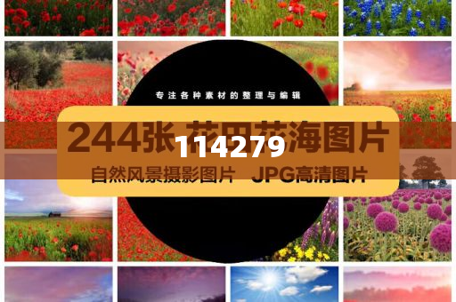 最准一肖一码，揭秘神秘预测背后的真相（100%准确预测真的存在吗？），揭秘最准一肖一码，神秘预测背后的真相探索（真实预测准确率揭秘），揭秘最准一肖一码，神秘预测真相探索与准确率揭秘