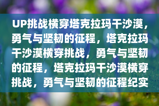 UP挑战横穿塔克拉玛干沙漠，勇气与坚韧的征程，塔克拉玛干沙漠横穿挑战，勇气与坚韧的征程，塔克拉玛干沙漠横穿挑战，勇气与坚韧的征程纪实