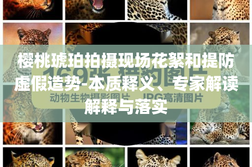 服的科技内卷,版度新据解态效_标准版?NF8786
