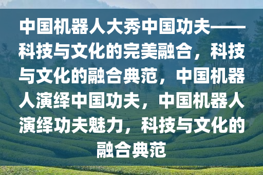 中国机器人大秀中国功夫——科技与文化的完美融合，科技与文化的融合典范，中国机器人演绎中国功夫，中国机器人演绎功夫魅力，科技与文化的融合典范