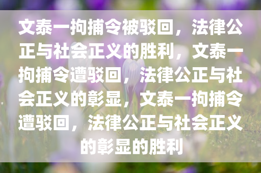 文泰一拘捕令被驳回，法律公正与社会正义的胜利，文泰一拘捕令遭驳回，法律公正与社会正义的彰显，文泰一拘捕令遭驳回，法律公正与社会正义的彰显的胜利