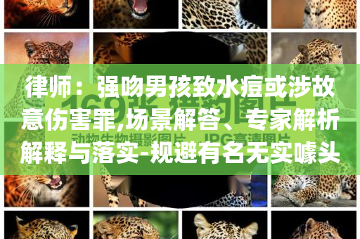 鉴定生怎景点,分析深度最新_DG版?JJ555