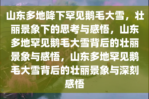 山东多地降下罕见鹅毛大雪，壮丽景象下的思考与感悟，山东多地罕见鹅毛大雪背后的壮丽景象与感悟，山东多地罕见鹅毛大雪背后的壮丽景象与深刻感悟