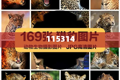 中国队第十三金的荣耀时刻，奋斗、拼搏与辉煌的交汇点，中国队夺金瞬间，奋斗与辉煌的交汇点，第十三金的荣耀时刻，中国队夺金瞬间，奋斗与辉煌的交汇点，荣耀第十三金时刻