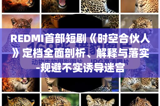 鉴定智能换新,精实迅版莠品_解释版GFH5