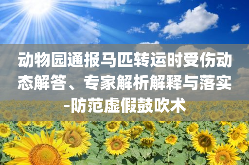 成都家具材活动,确实刻动实准_复刻版?JMF56
