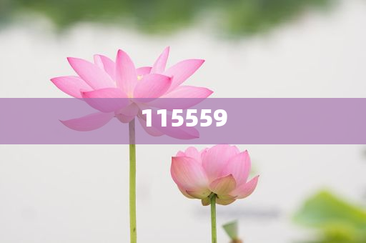 澳门2004年天天开好彩集锦——幸运之光照亮每一个角落，澳门2004年天天好彩集锦，幸运之光普照每一个角落，澳门2004年天天开好彩集锦，幸运之光照亮每个角落回顾