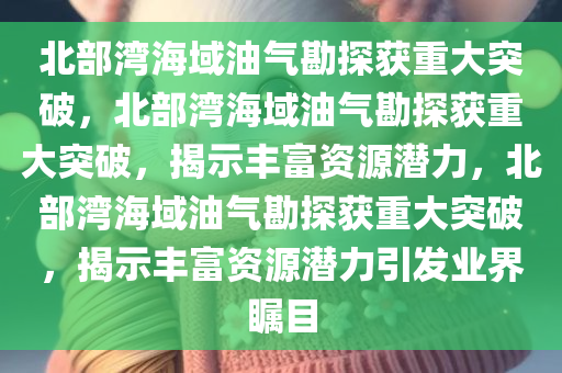 北部湾海域油气勘探获重大突破，北部湾海域油气勘探获重大突破，揭示丰富资源潜力，北部湾海域油气勘探获重大突破，揭示丰富资源潜力引发业界瞩目
