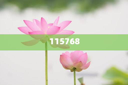建议将禁止就业年龄歧视纳入法律，禁止就业年龄歧视，法律保护的呼声，呼吁法律禁止就业年龄歧视，保护公平就业机会