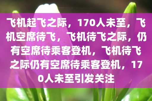 飞机起飞之际，170人未至，飞机空席待飞，飞机待飞之际，仍有空席待乘客登机，飞机待飞之际仍有空席待乘客登机，170人未至引发关注